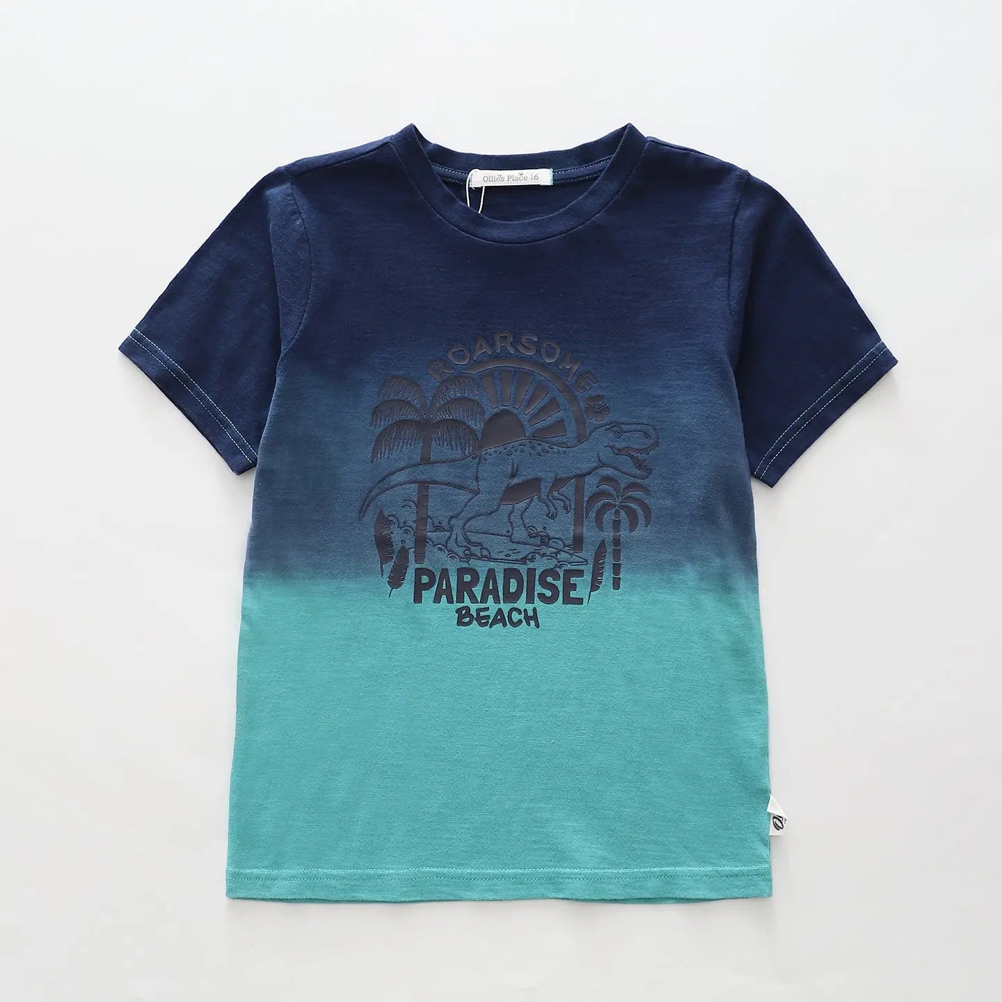 boys-roarsome-dinsoaur-tee Ollies Place