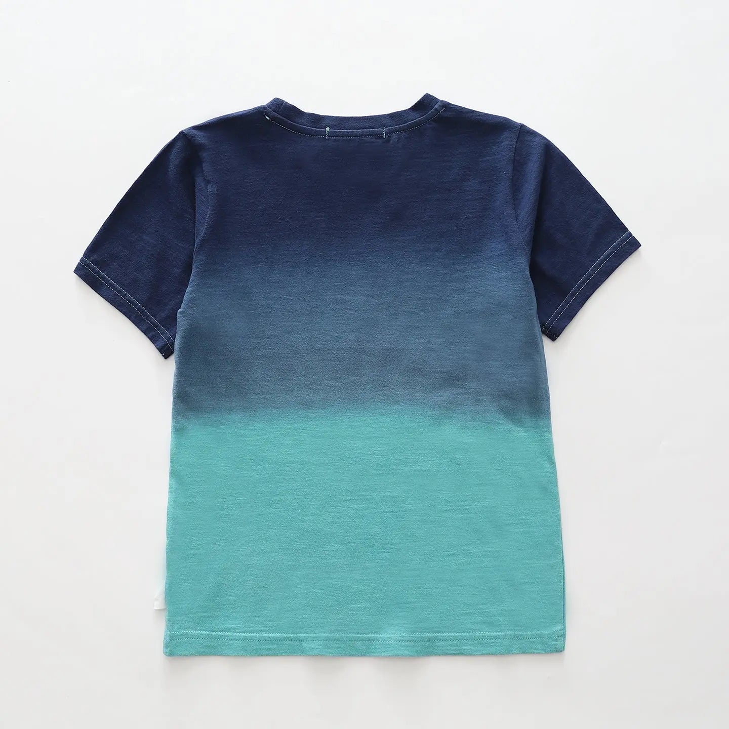 boys-roarsome-dinsoaur-tee Ollies Place