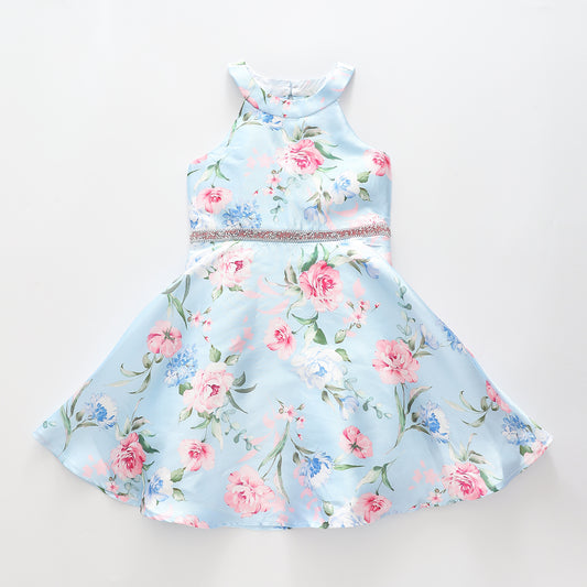 Girl's Sky Blue Pink Floral Party Dress