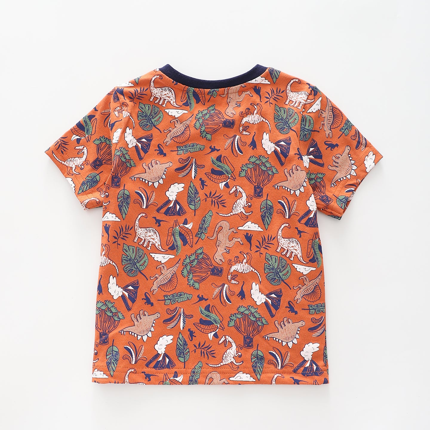 Infant and Toddler Boys Dino Tee