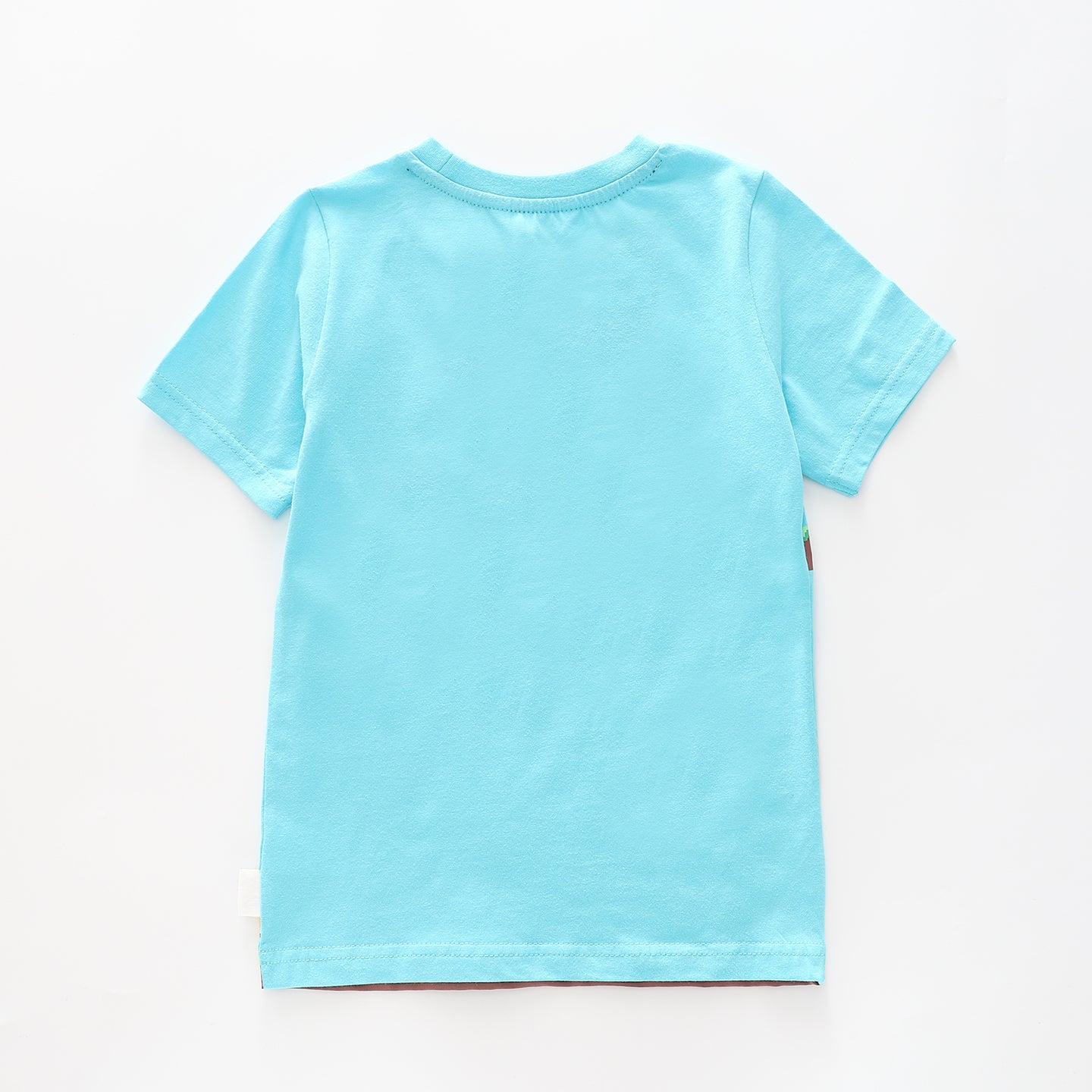 Boy's Sky Blue T-shirt With Pixel Dinosaur Print