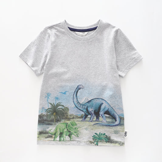 Boy's Grey T-shirt With Dinosaur  Print