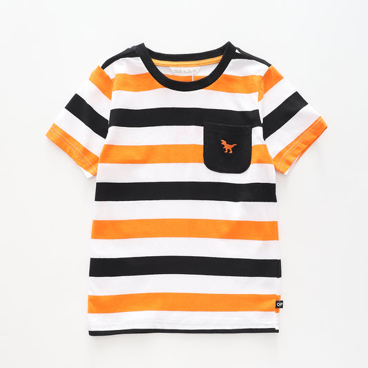 Boy's Navy and Orange Striped T-shirt