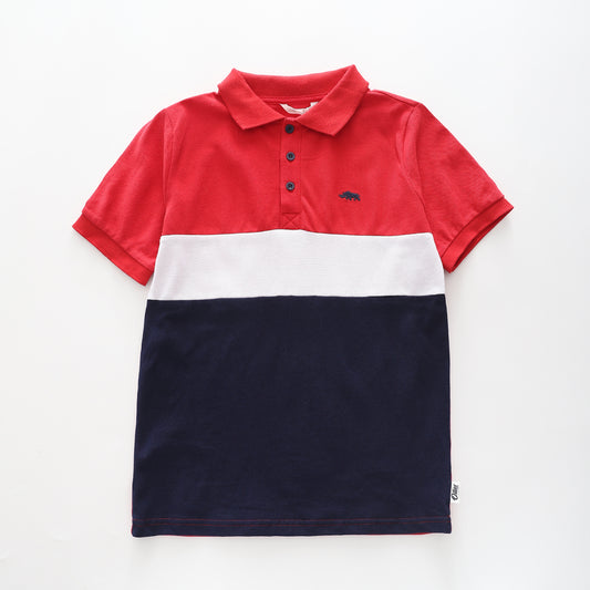 Boy's Red And Navy Stripe Polo Shirt