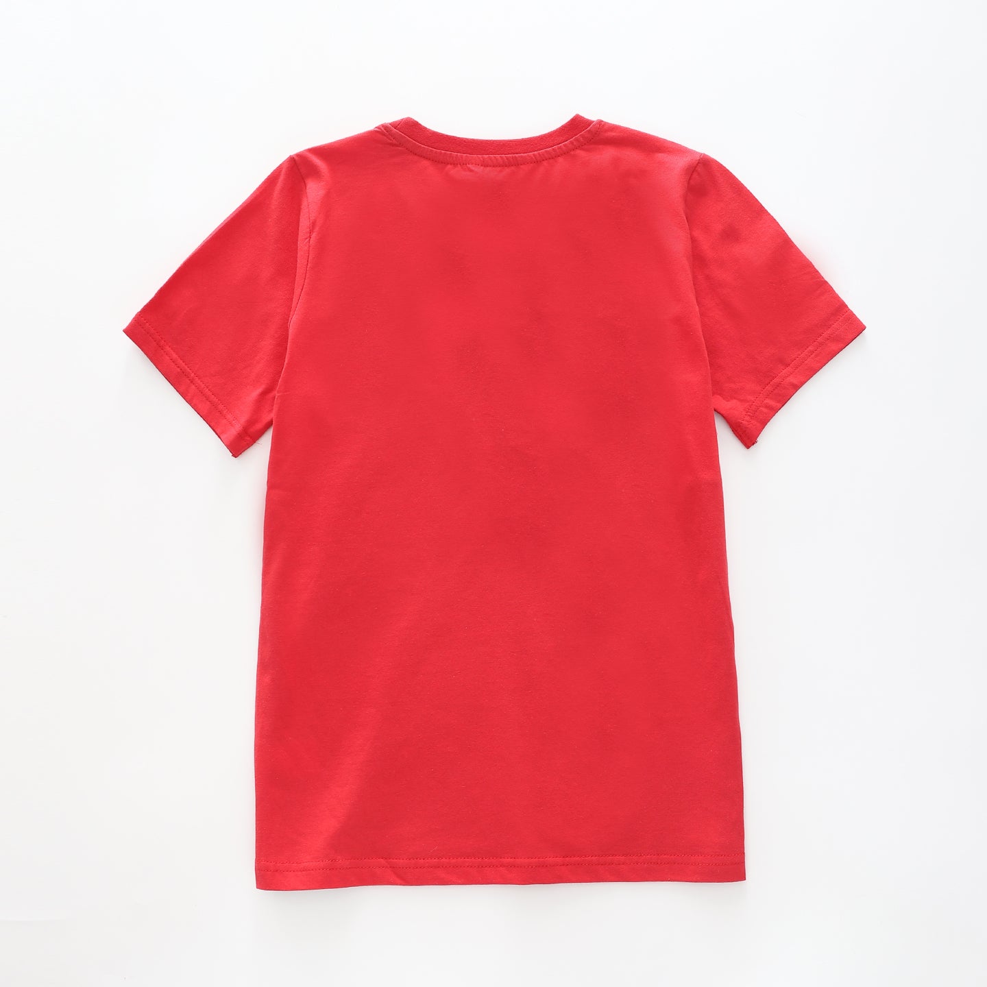 Boy's Navy Blue and Red Large Stripe T-Shirt