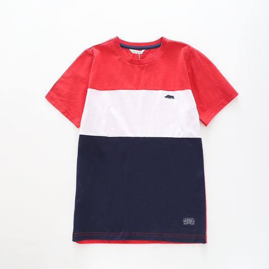 Boy's Navy Blue and Red Large Stripe T-Shirt